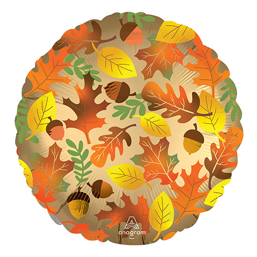 AG 17 ƥե꡼֥ ANG44835