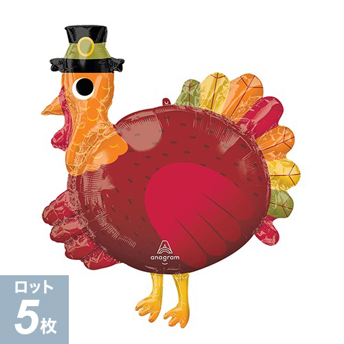 ߸˸¤ꢣAG L-SHP ԥꥰॿ ANG44838