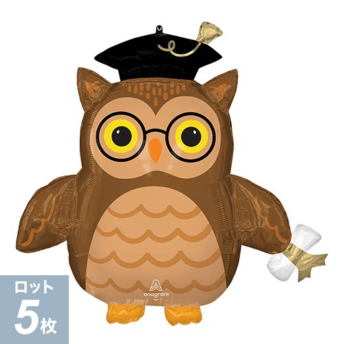 ߸˸¤ꢣAG L-SHP饸奨ȥ磻 ANG45480