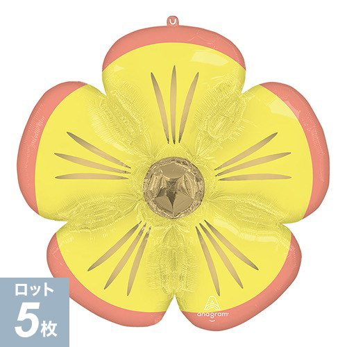 ߸˸¤50OFF뢣AGL-SHPե ֥å ǥ ANG45627