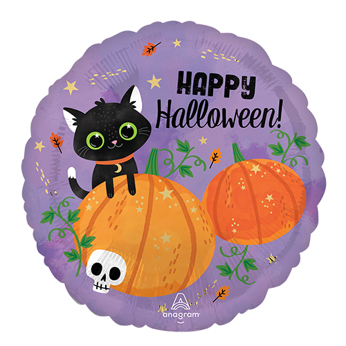 AG17ϥ󥭥åȡѥץ ANG46011