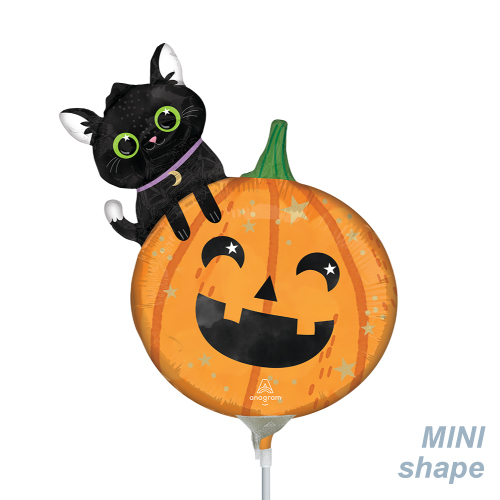 䢣߸˸¤50OFF뢣AGߥSHPϥ󥭥åȡѥץ ANG46108