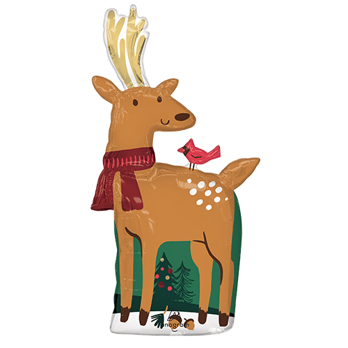 䢣߸˸¤50OFF뢣AG L-SHP쥤ǥ ANG46136