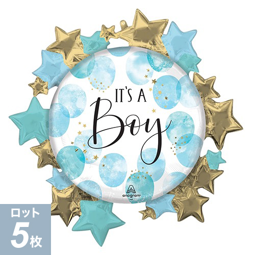 AGL-SHP٥ӡ ܡ ֥롼 顼 ANG46185