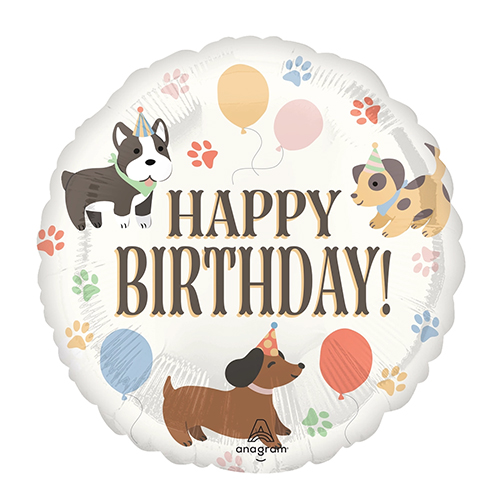 AG 17����� �ݥ�����ѡ��ƥ��� ANG46556