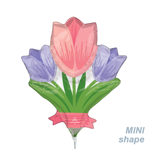 AGЎSHPץ󥰥塼å ANG46766