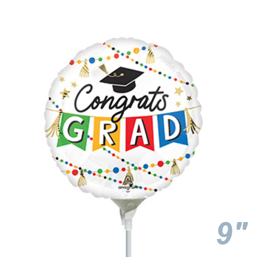 AG9 󥰥å졼 å ѡƥ ANG47592