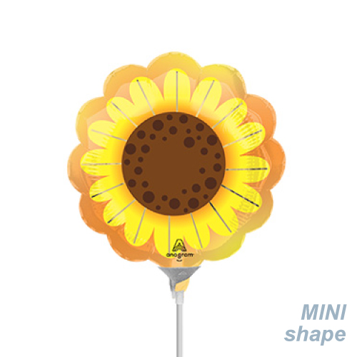 AGߥSHP ե ANG47618