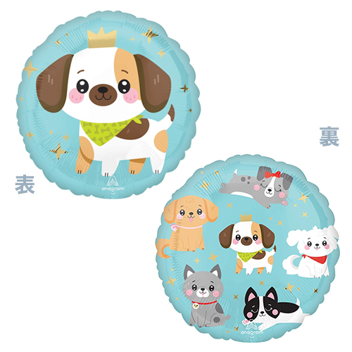 AG17 磻 ѥԡ ANG47901