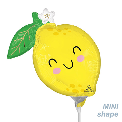 AGߥSHP ա ե  ANG47905