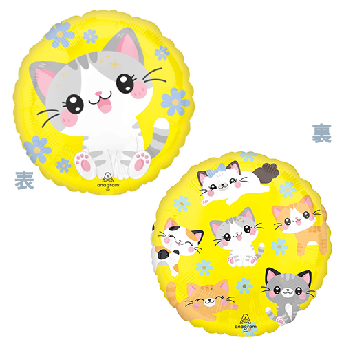 AG17 磻 ƥ ANG47917