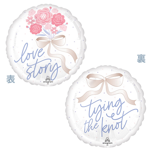 AG17   Υå ANG48404