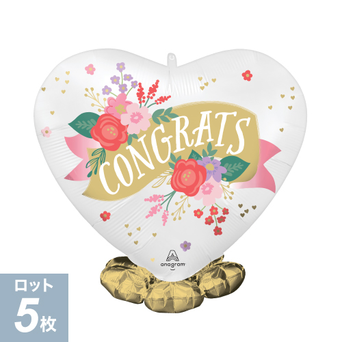 AG �ե�륺 ���ƥ�ե������ ���󥰥�åĥȡ����� ANG49222