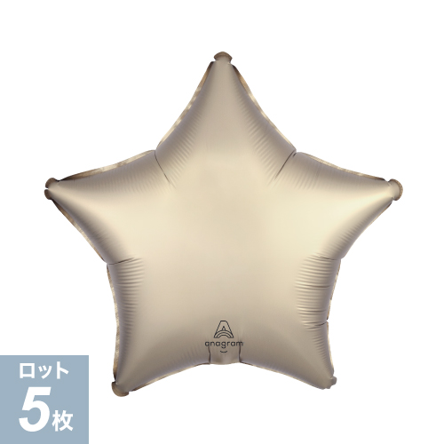 AG19�����S ���ƥ��奯���ץ����å� ������ ANG49956