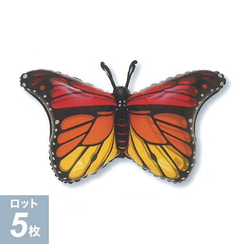 ߸˸¤ꢣAGLSHPʡХե饤ANG65914