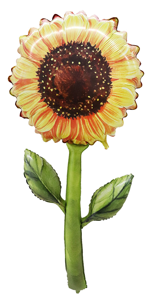 BLT6�ե����ȥե�å���ԥå��� �������������顼����ե� BLT25143