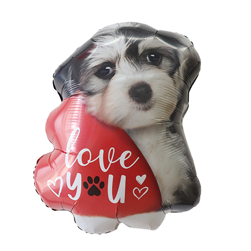 ߸˸¤50OFF뢣BLT24 ֥桼ѥԡ BLT25243