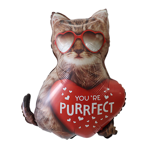 BLT26����� �ѡ��ե����ȥ���å� BLT25244