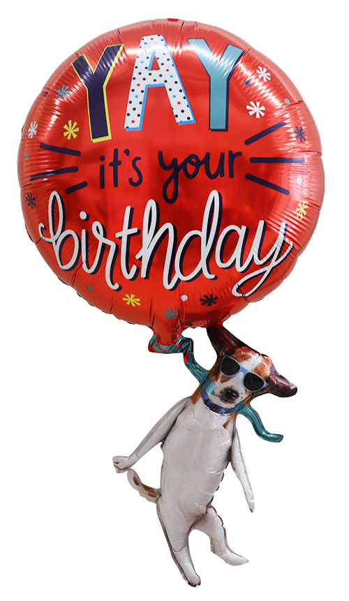 BLT38����� �������С����ǡ��ɥå� BLT25291