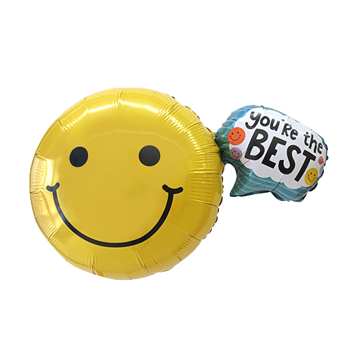 BLT L-SHP 桼٥ȥޥ꡼ BLT25311