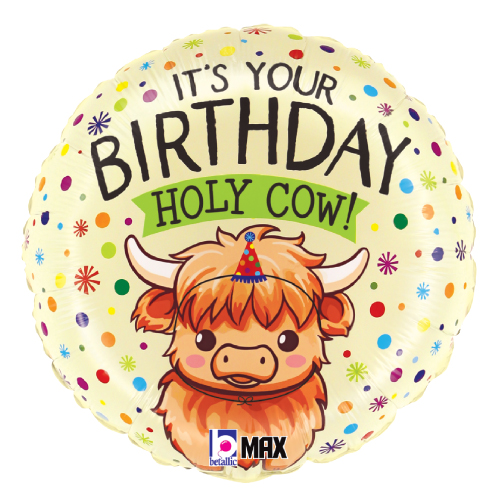 BLT18 ϥɥۡ꡼Сǡ BLT26529