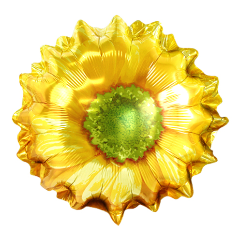 BLT24"֥饤ȥ֥롼ॹ BLT35249