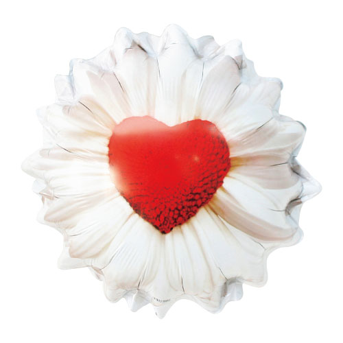 �����䢣BLT LSHP �ǥ������ϡ��ȡ�BLT35509