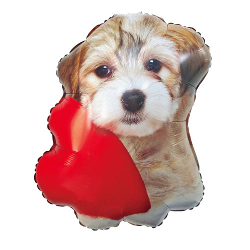 䢣LSBLT LSHP ɥ֥ѥԡ֡BLT35513