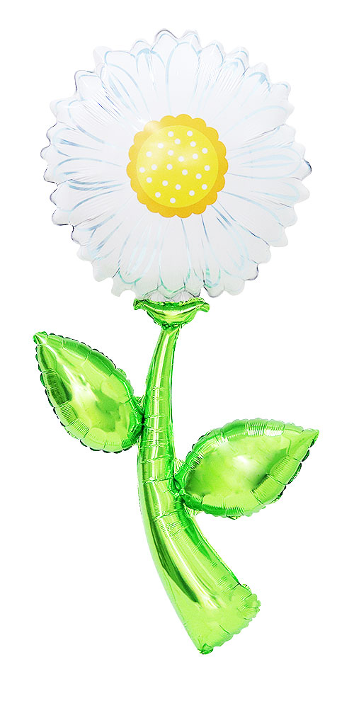 䢣BLT5'եåԥå ۥ磻ȥǥBLT35672