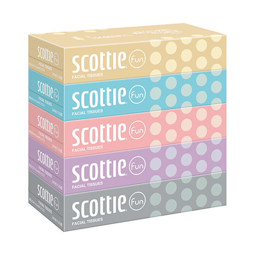 åƥեBOXƥå120ȡ5Ȣˡϰ  CNBNC47909