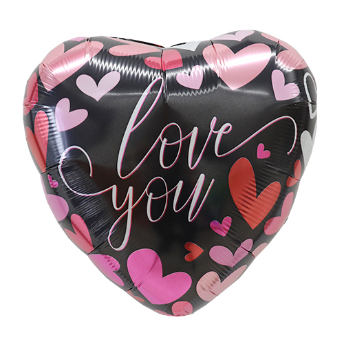 CTI17 ֥桼 ϡ CTI214151