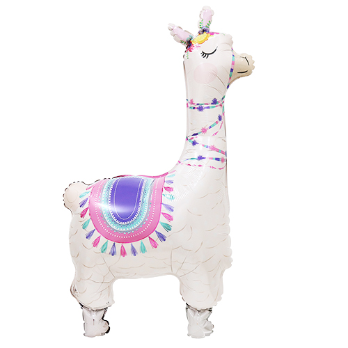 CTI L-SHP ޡCTI434262