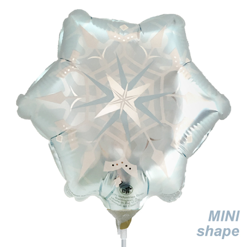 䢣CTIߥSHP ֥롼Ρե졼 CTI824024