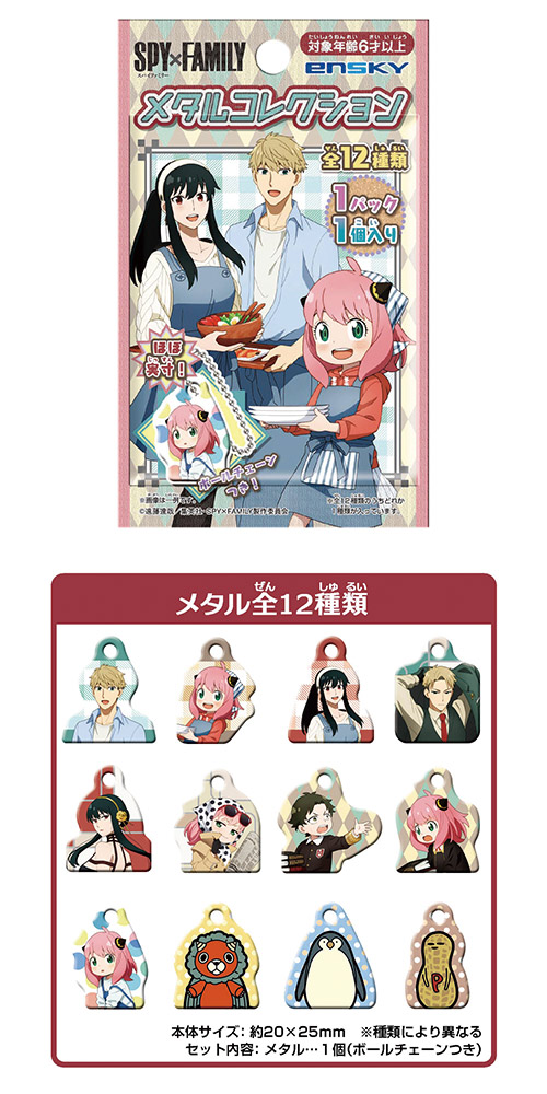 �����䢣PY��FAMILY���᥿�륳�쥯����� ENSCH48926