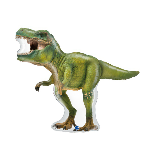 GRB37 ꥢʥ GRB72130