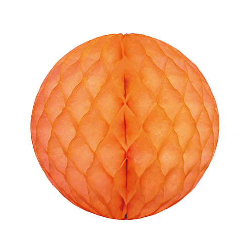 �����䢣�ϥ˥���ܡ��� 20cm ����󥸡�HNO00027