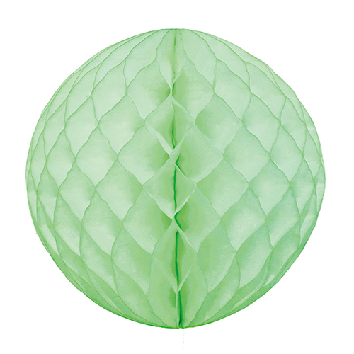 䢣ϥ˥ܡ 30cm 饤ࡡHNO00031