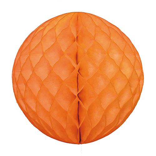 �����䢣�ϥ˥���ܡ��� 30cm ����󥸡�HNO00033