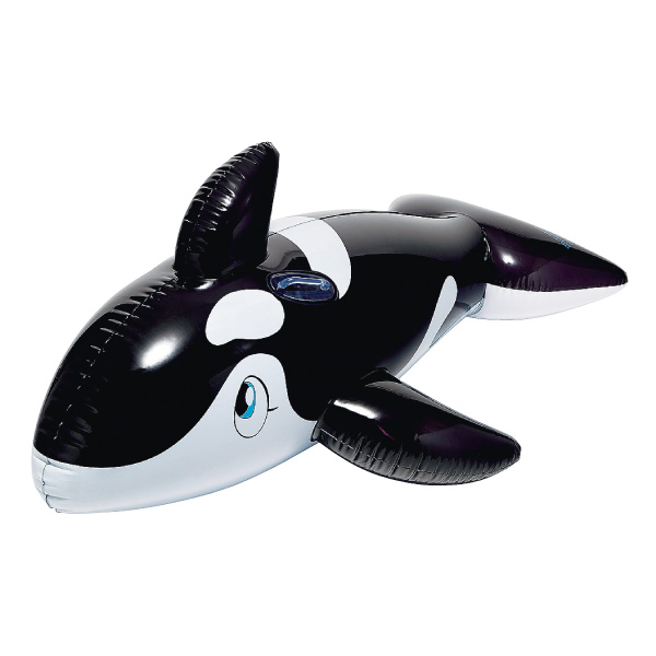 �������䢣������ե����ȡʥ֥�å��ˡ�IGRVN75054