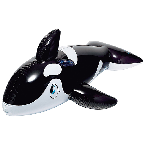 䢣եȡʥ֥åˡIGRVN85125