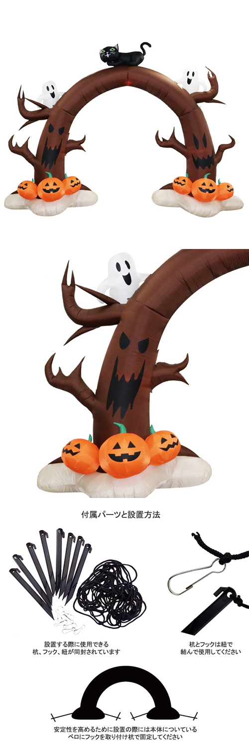 �����֥������ϥ������󥢡�����KIS23818