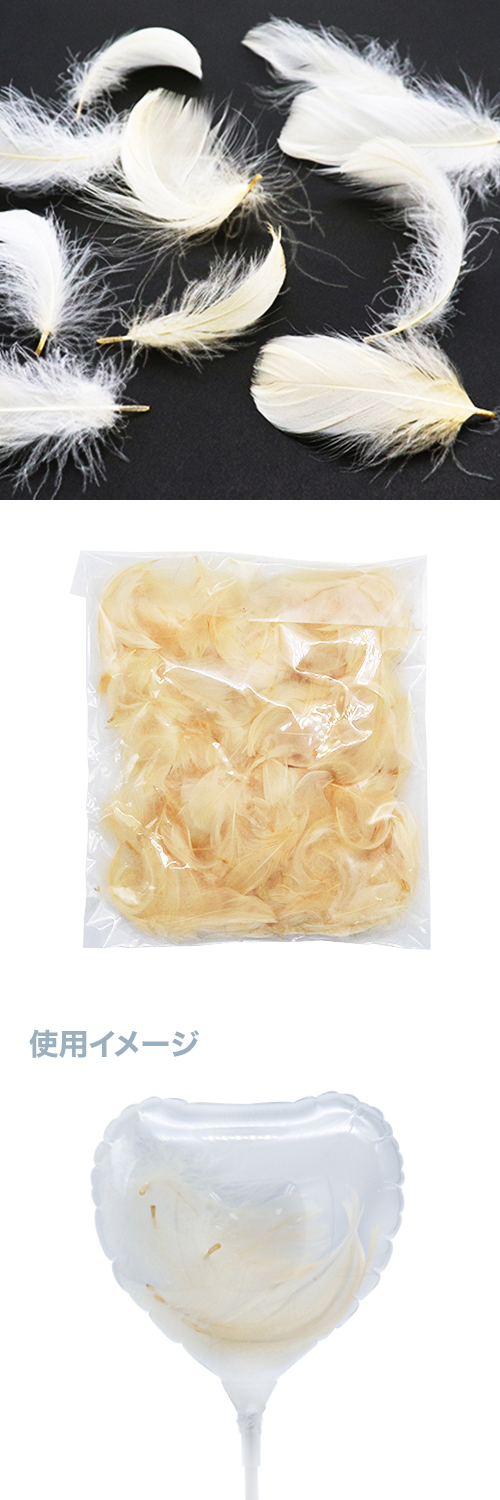 �ե�������������ȥ륢���ܥ꡼��10g KIS26032