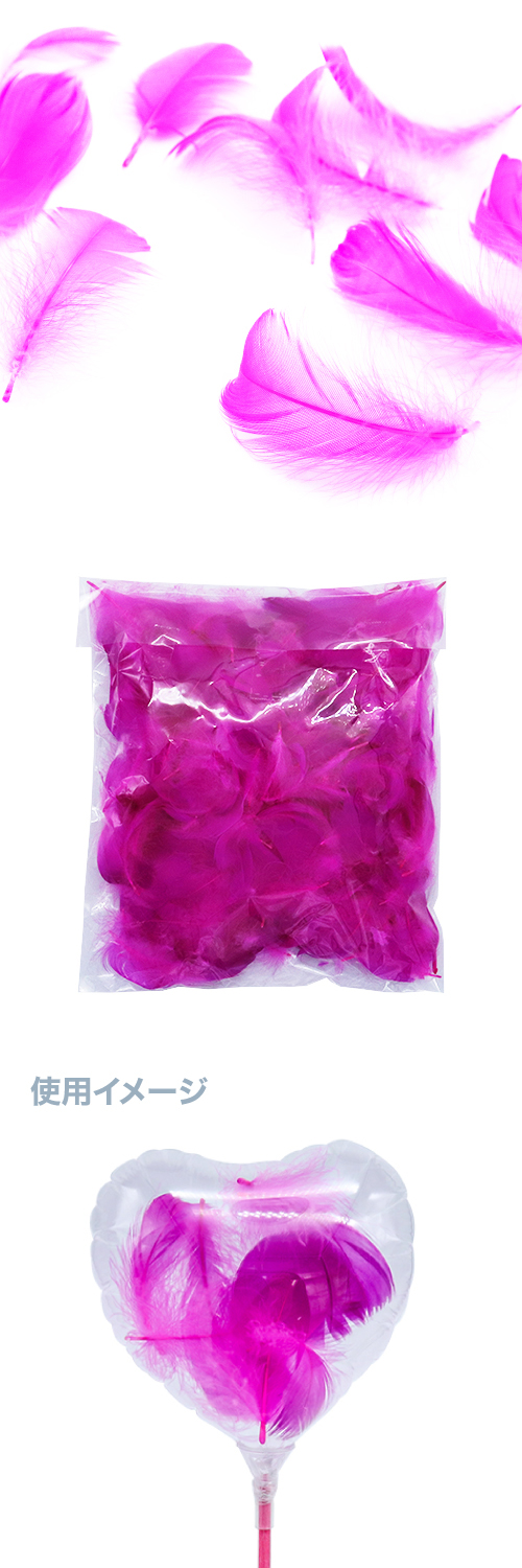 �ե��������ǥ����ץ磻��10g KIS26035