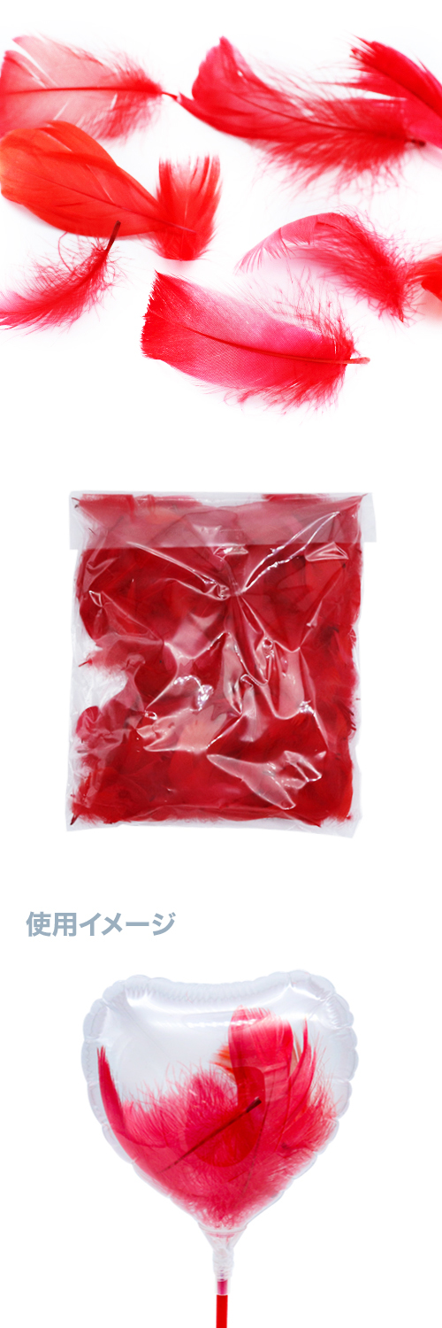 �ե��������ӥӥåɥ�åɡ�10g KIS26038