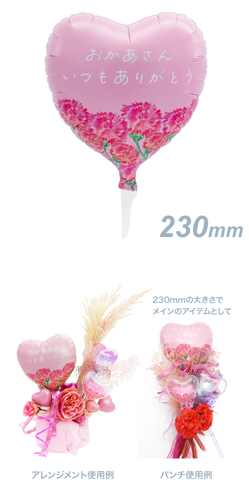 ꡼ե230mmϡȡ 󤤤Ĥ⤢꤬Ȥ֥롼ߥ󥰥͡Fա KIS27521