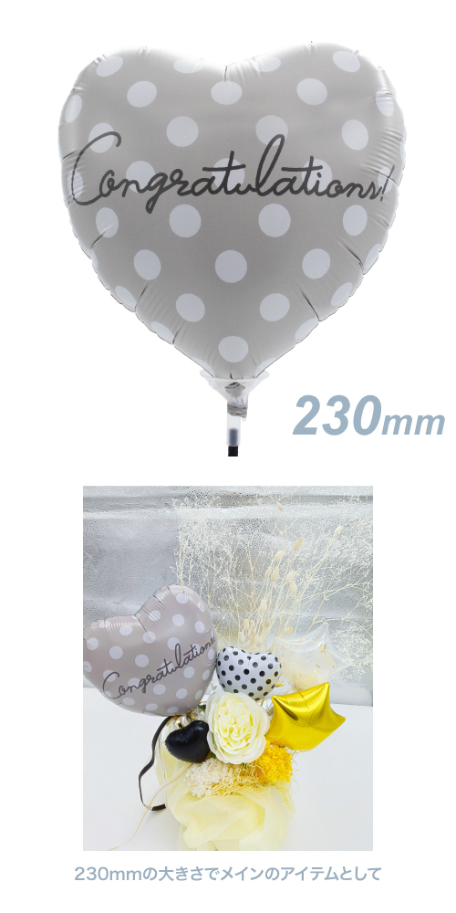 ꡼ե230mmϡȡ١ݥ륫ɥåȥ󥰥å졼 KIS27522