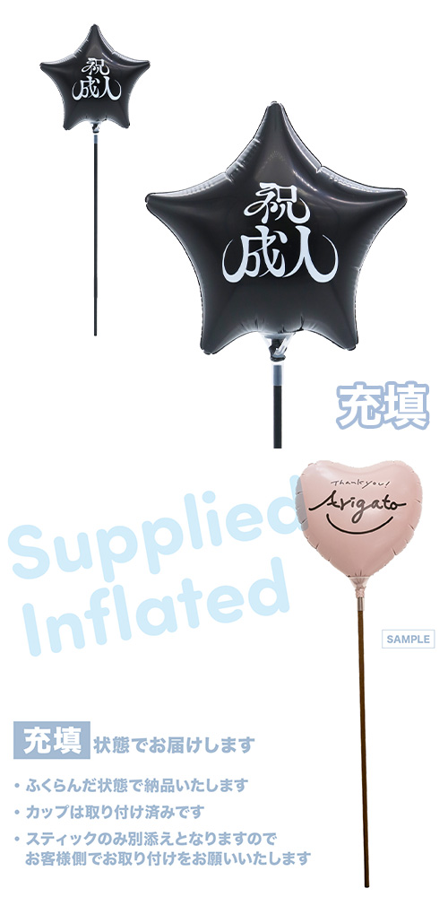 MVPƥåХ롼󥪥󥫥顼130mm -- ֥å Ŷ KIS30287