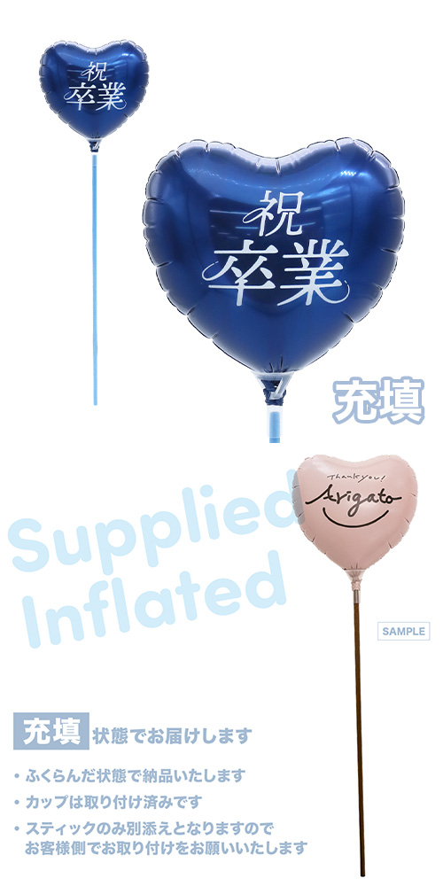 MVPƥåХ롼󥪥󥫥顼115mmϡ ´-- ͥӡ֥롼 Ŷ KIS30291