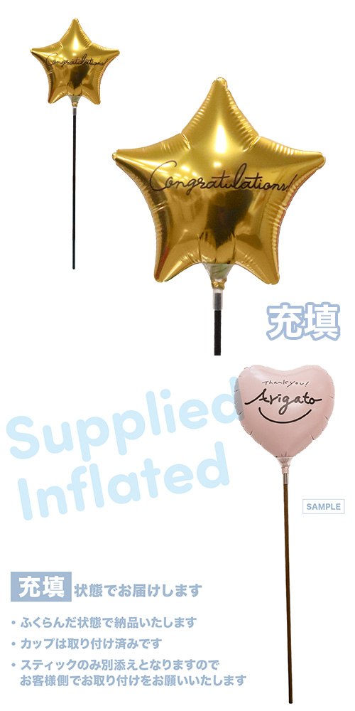 MVPƥåХ롼󥪥󥫥顼130mm ޡȥ󥰥å졼󥺥ǥץ Ŷ KIS30511