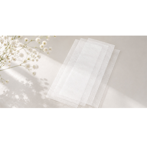 ���ꥹ �Х롼���ѥ��å��Կ��� �ۥ磻�ȡ�100���� KIS31019